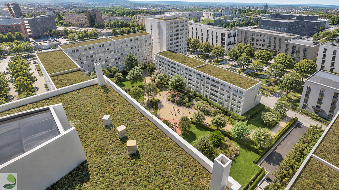 Concours pour la résidentialisation et la rénovation paysagere de l&rsquo;ilot Franche-Comté dans le quartier fontaine d&rsquo;ouche a Dijon (21)